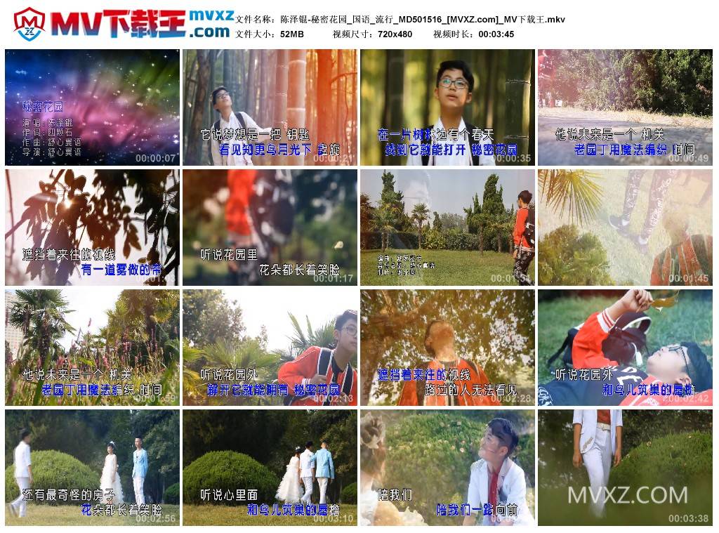 陈泽锟-秘密花园_国语_流行_MD501516